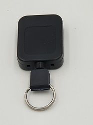 RT2 0336FESR pixels 250