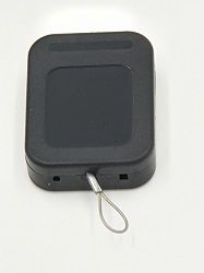 RT2 0336LP pixels 250