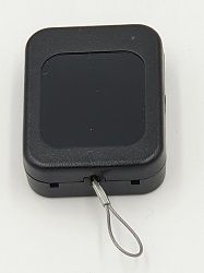 RT4 0360LP pixels 250